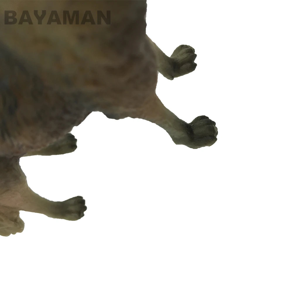 g5