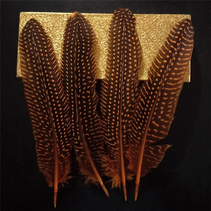 pearl pheasant feathers 1 (9)
