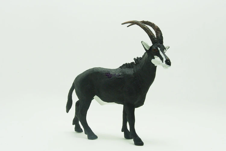 PL127-3094