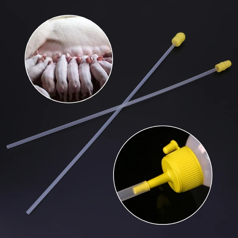 

10pcs Canine Dog Goat Sheep Bird Rabbit Artificial Insemination AI Breed Feed whelp Catheter Rod