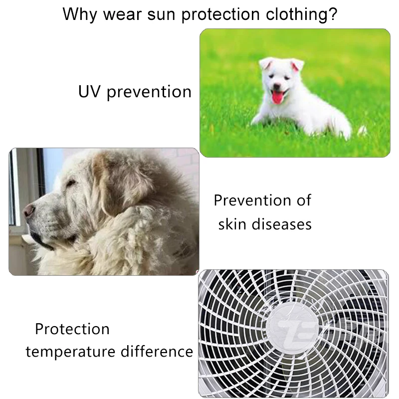 Дождевик для маленьких собак для собак, Солнцезащитная одежда, летняя Солнцезащитная толстовка с капюшоном для маленьких собак, одежда для средних домашних животных, одежда для щенков, кошек