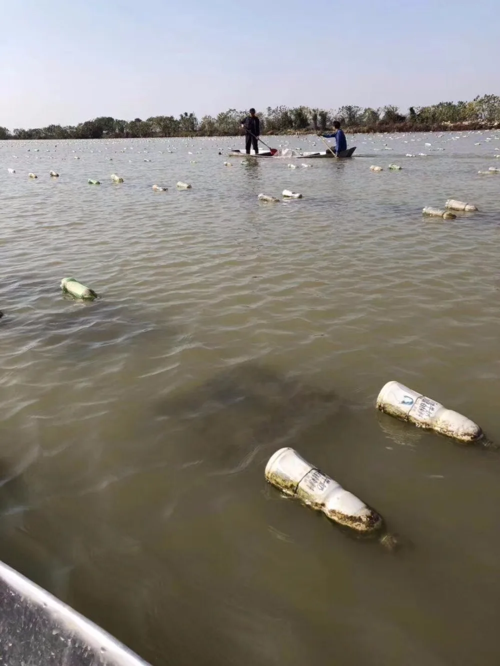 IMG_4332