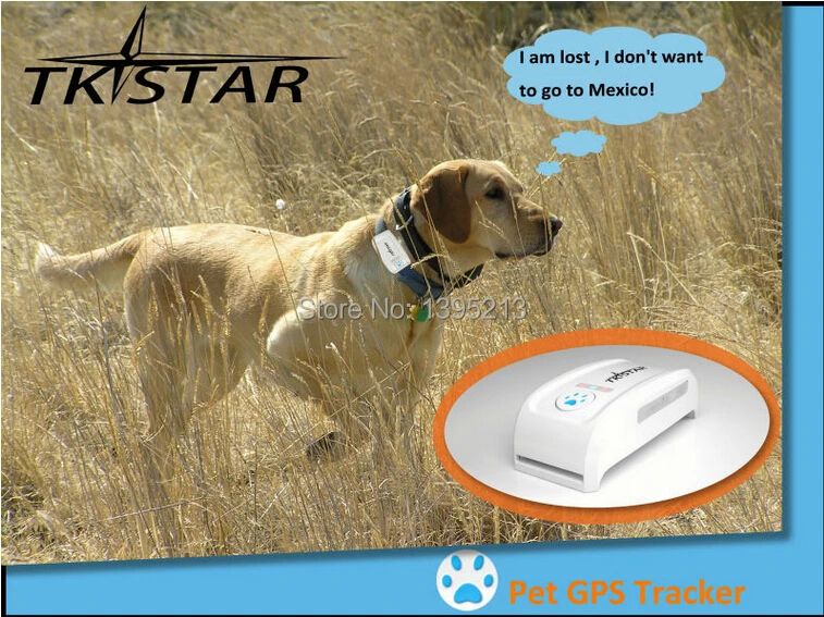 Высокое качество Водонепроницаемый Pet gps устройства слежения+ ПЭТ трекер gps ПЭТ Tracker/IOS App и Andriod App Pet gps трекер