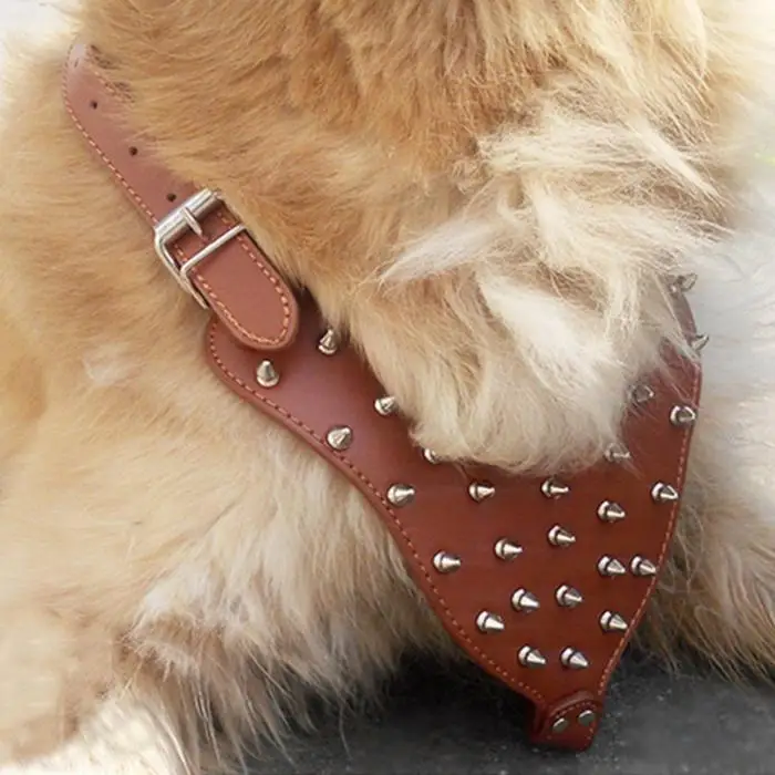 dog harness