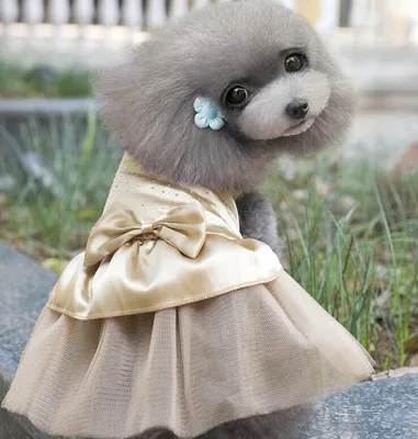 Летняя жилетка для собак, рубашки, Йоркский плюшевый Кот, милая Одежда для собак, свадебное платье принцессы для щенков, юбка для питомцев - Цвет: Beige