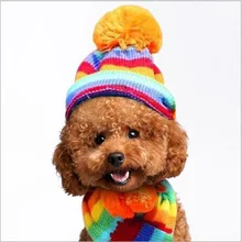 Новое поступление, одежда для домашних собак, шапка, шарф для ног, котенок, кошка, собака, Тедди, Осень-зима, Тедди, щеночки, Bomi, одежда, аксессуары
