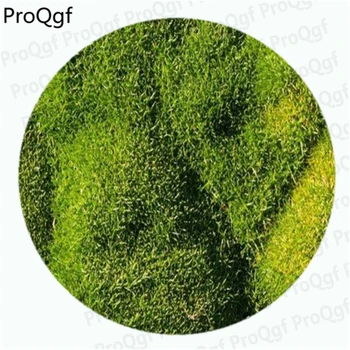 

6000Pcs A Set Moss