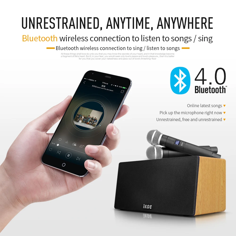 I-200K Speaker with Amplifier Echo UHF Wireless