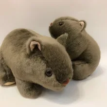 Модельной диких Австралийский Гвинея Cavia Porcellus куклы, милые набивные Игрушки для маленьких детей подарки на день рождения 23/28 см