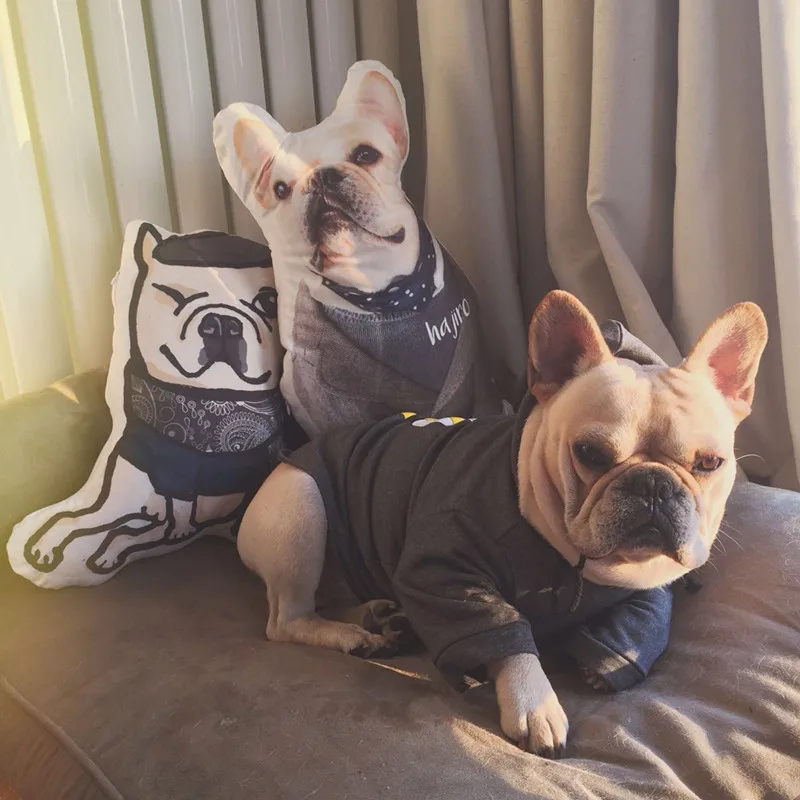 60cm customize printed dog/cat puppy pillow,make ur own puppy cushion toy,kat soft toys for children girls home decoration gift 60cm customize printed dog/cat puppy pillow,make ur own puppy cushion toy,kat soft toys for children girls home decoration gift