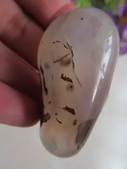 

natural stone agate chalcedony agate natural patterns of marine aquatic plants 30g