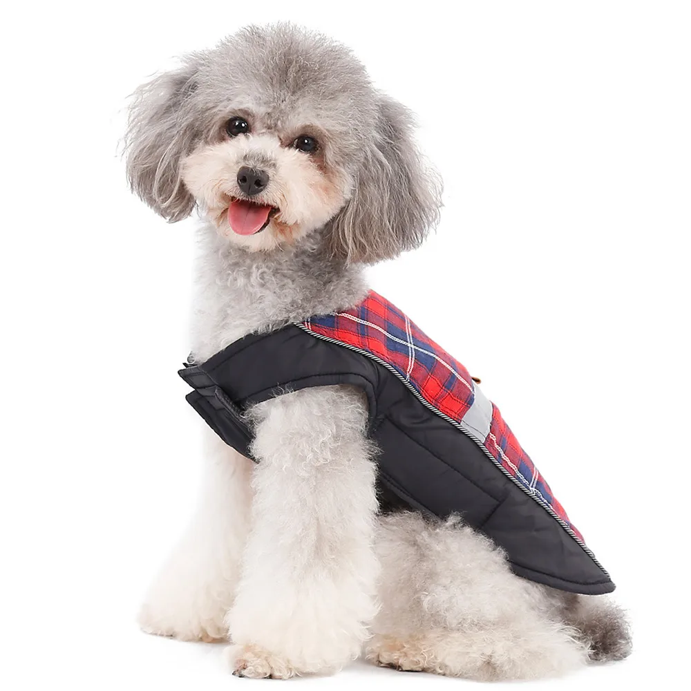 Dog Clothing (6)