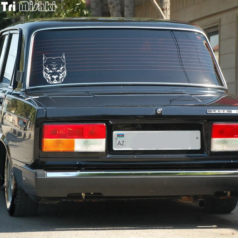lada 2107 (14)_