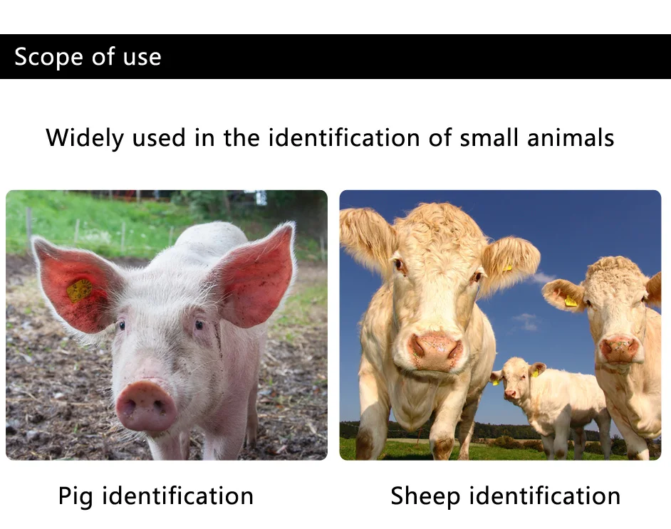 Перезаряжаемая батарея USB FDX-B ID64 Pet ID Ушная бирка маленький мини RFID микрочип считыватель для собак кошек домашних животных чип для сканера