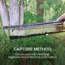 10X маленький улья лучше Жук ловушка без яда нет пестицидов Пчеловодство инструменты Черный сад пчеловод queen ловушка для пчел