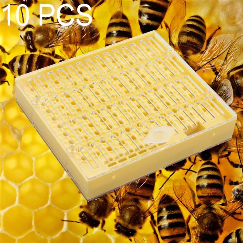 1 Pcs Plastic Bee Queen Box Queen Rearing Box Cultivate Bee Tool Beekeeping Tool Plastic Durable Does Not Harm