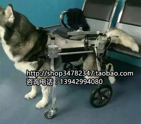 Pet wheelchair / dog wheelchair / paralyzed dog rehabilitation exercise vehicle disabled rehabilitation w