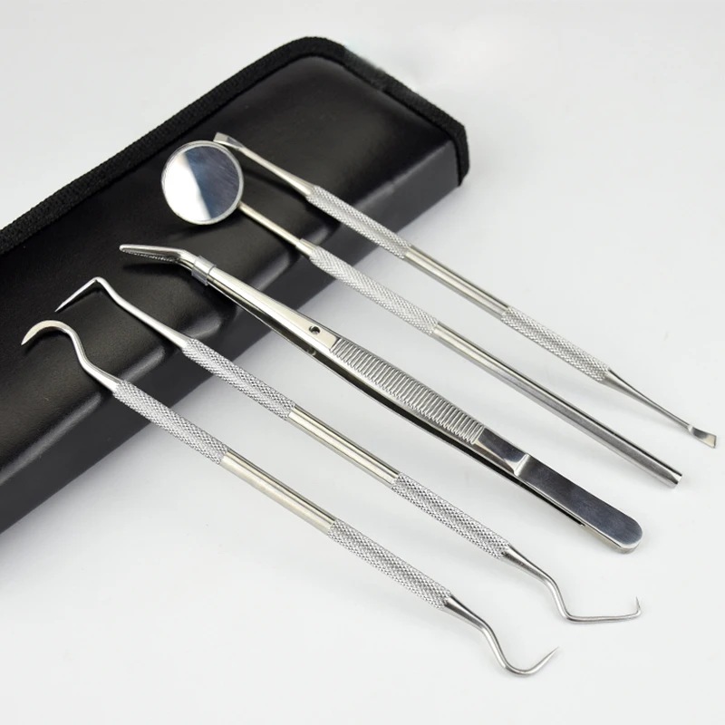 Professional Stainless Steel Dental Instruments Kit 5 pcs Oral Care