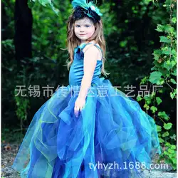 FR20 ребенок Ellie's Bridal/свадебное платье принцессы фотографировал костюмы без Рукавов Синего цвета для девочек Платья для вечеринок брендовые