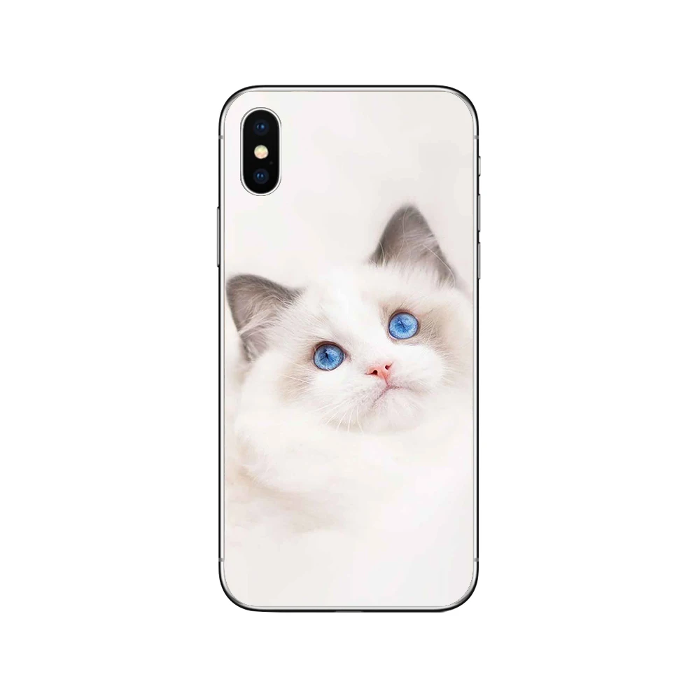 Чехлы для телефонов ciciber с милым котом котенком для iPhone 11 Pro XR X XS MAX Funda Coque для Iphone 7 8 5S 6 6S Plus SE Мягкий ТПУ чехол Капа - Цвет: Patterned 5