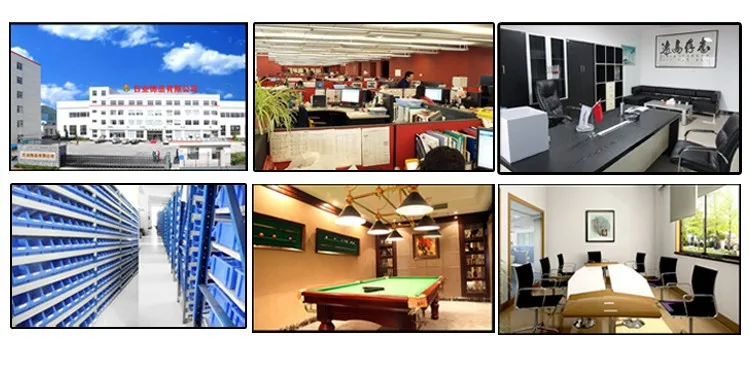 Nobel Prize in Physiology or Medicine Gold Plated Coin Nobel Head Portrait Coin Nobel Prize in Physiology or Medicine Gold Plated Coin Nobel Head Portrait Coin