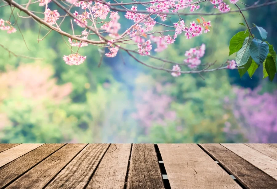 

Laeacco Spring Blooming Flowers Baby Newborn Portrait Photography Background Customized Photographic Backdrops For Photo Studio
