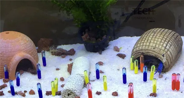 Украшение для аквариума оформление аквариума черепаха банка стакан аквариумные аксессуары ландшафтный дизайн