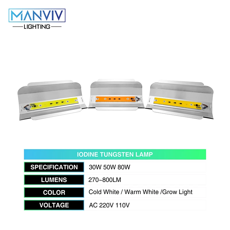 Светодиодный прожектор светильник полный спектр 30 Вт 50 Вт 80 Вт светодиодный йод Вольфрам Водонепроницаемый 220V для внутреннего теплицы для выращивания растений Фито лампа