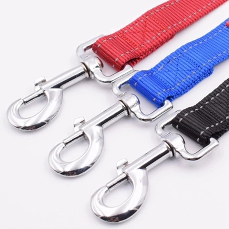 correas para perros (3)