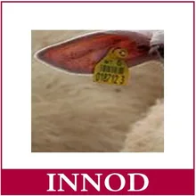 Long Range tcp/ip uhf rfid читателей с бесплатным ухо тег образец для животных управление проектами