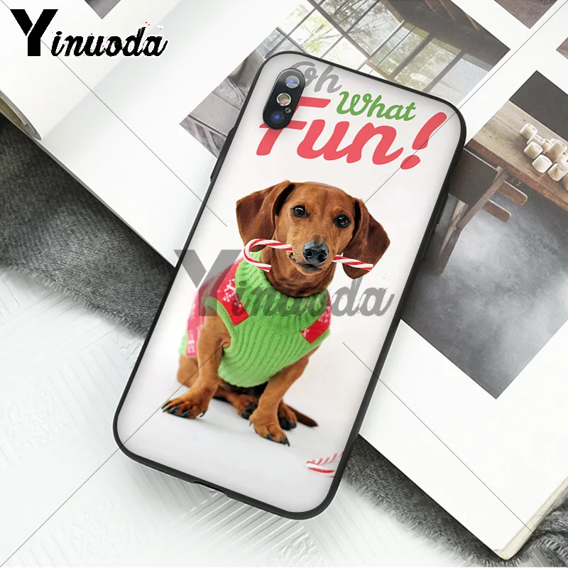 black Dachshund Doberman Dog face 