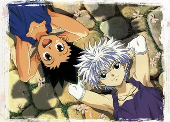 

Decoration Hunter x Hunter Anime Killua & Gon 41*57CM Wall Scroll Poster #35763