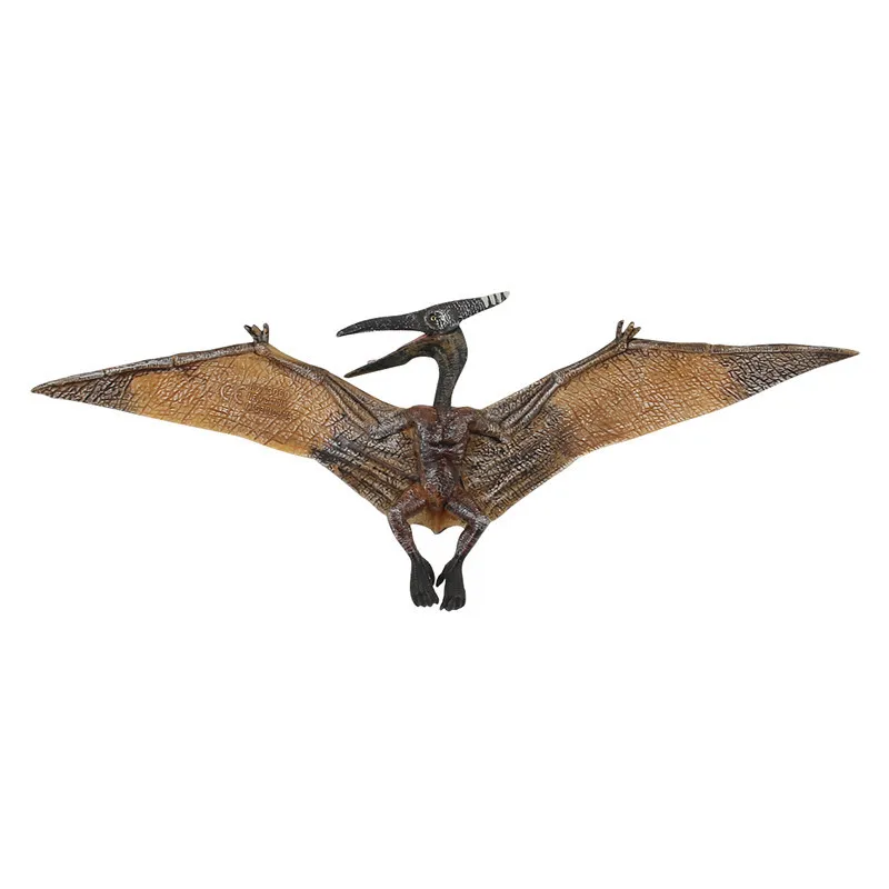 4572120838_1858038522