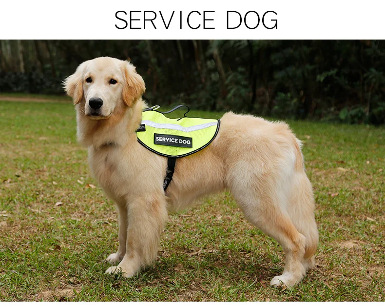 PD20025Service_02