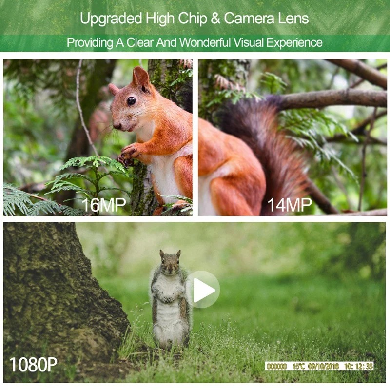  Hc801A Hunting Camera 16Mp Trail Camera Night-Vision Forest Waterproof Wildlife Camera Photo Traps 
