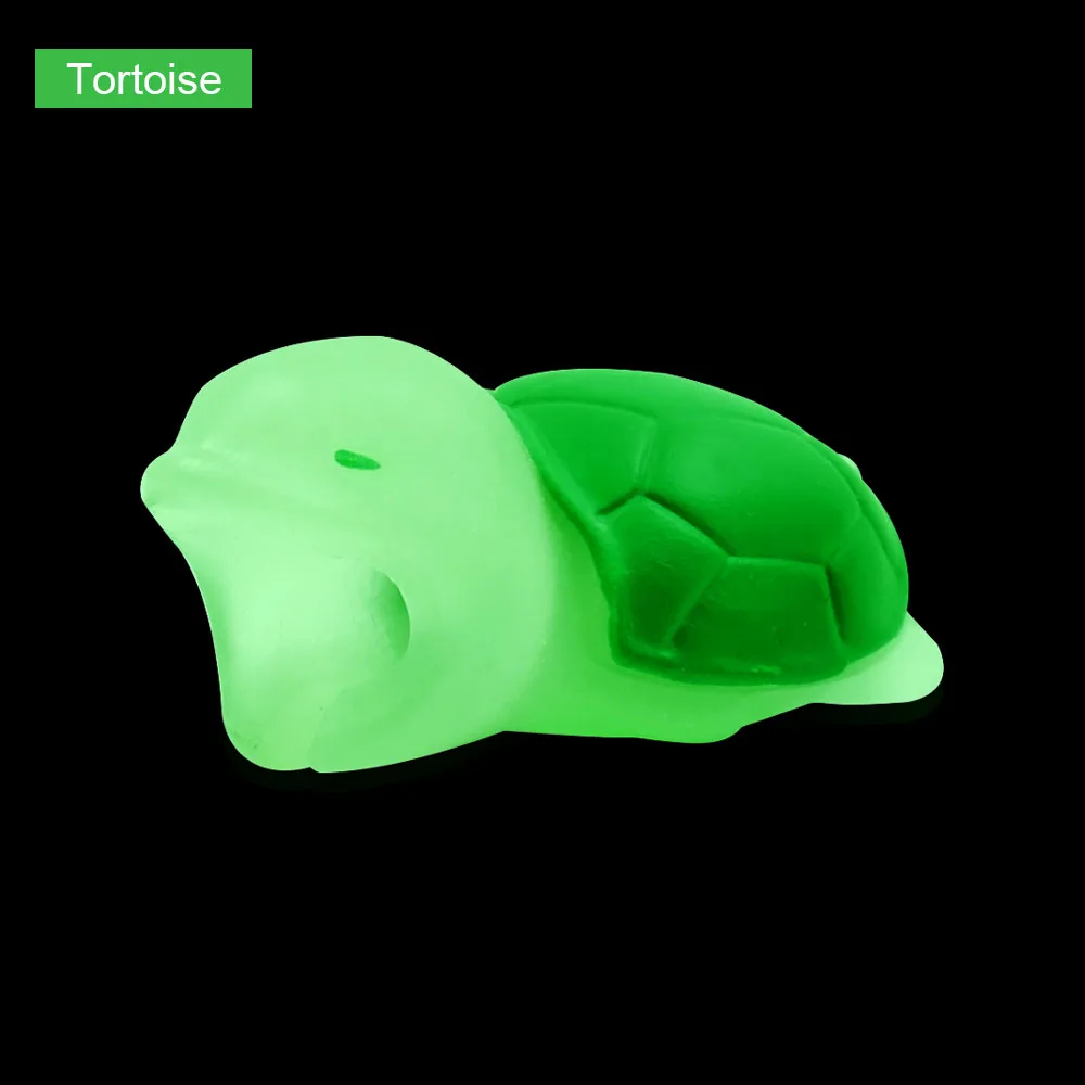 Tortoise (2)