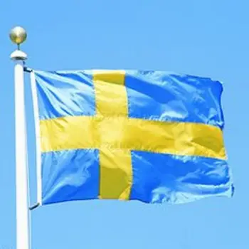 

1 Pieces Sweden National Flag 60*90cm Hanging Flags Outdoor Activity/Parade Banner For Festival World Soccer Cup