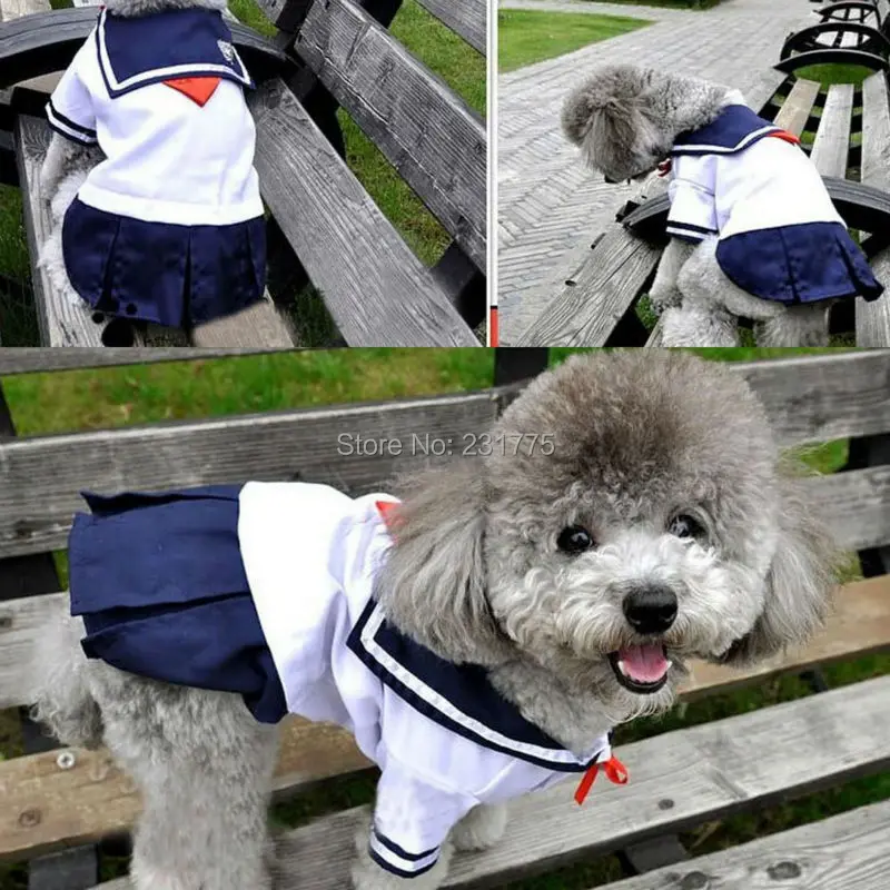 Cute Pet Cat Clothes For Small Cat Costumes Clothes Shirt Cat Dress Skirt Summer Short Sleeve Pets Chihuahua York Supply 30 S1 Cute Pet Cat Clothes For Small Cat Costumes Clothes Shirt Cat Dress Skirt Summer Short Sleeve Pets Chihuahua York Supply 30 S1