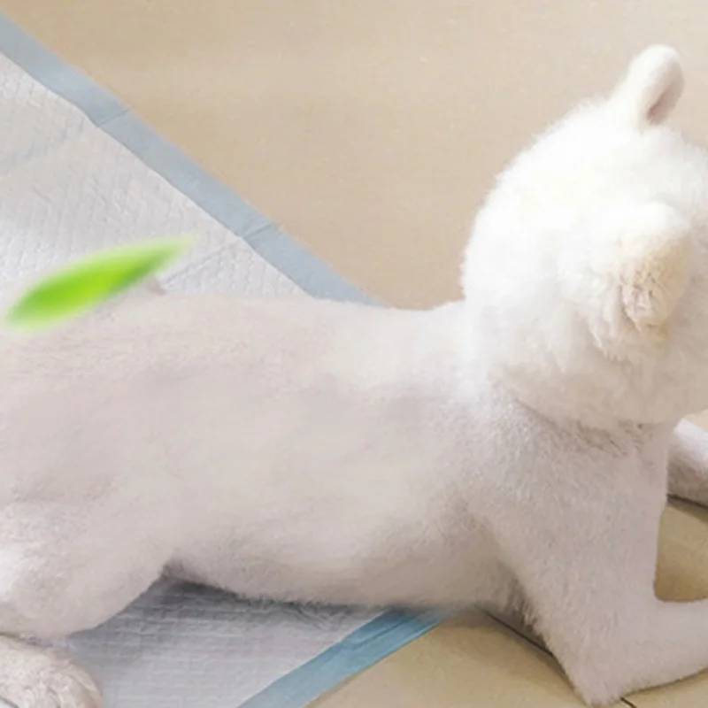 Online 1 Tas Penyerap Kucing Anjing Urin Pad Sekali Pakai Popok Pet Anjing Popok Hewan Peliharaan Buang Air Kecil Kertas TB Dijual Online 1 Tas Penyerap Kucing Anjing Urin Pad Sekali Pakai Popok Pet Anjing Popok Hewan Peliharaan Buang Air Kecil Kertas TB Dijual