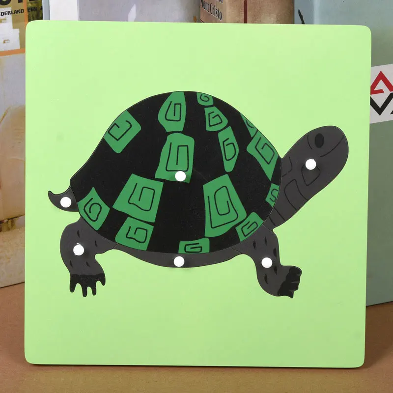 turtle