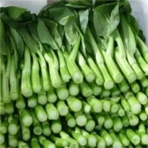 

200 Pcs heart of a cabbage Bonsai Concentrated Flavor Tender Crisp Green Vegetable Plant Small Home Garden Cultivation