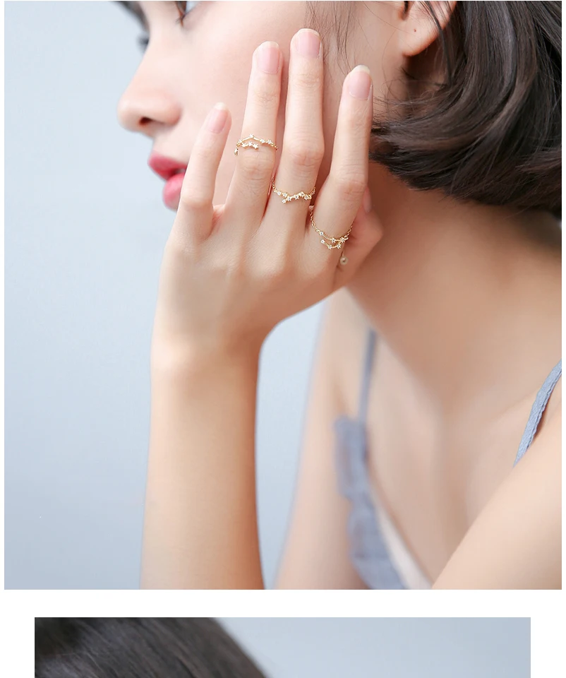 New 925 Sterling Silver Fashion CZ Crystal Tail Rings For Women Girls 12 Constellations Collection Finger Ring Jewellery Bijoux  (1)