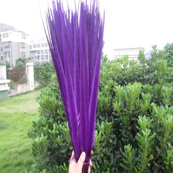 

Hot 100 / a lot of beautiful purple pheasant feathers 20-22 inches / 50-55 cm Free Shipping