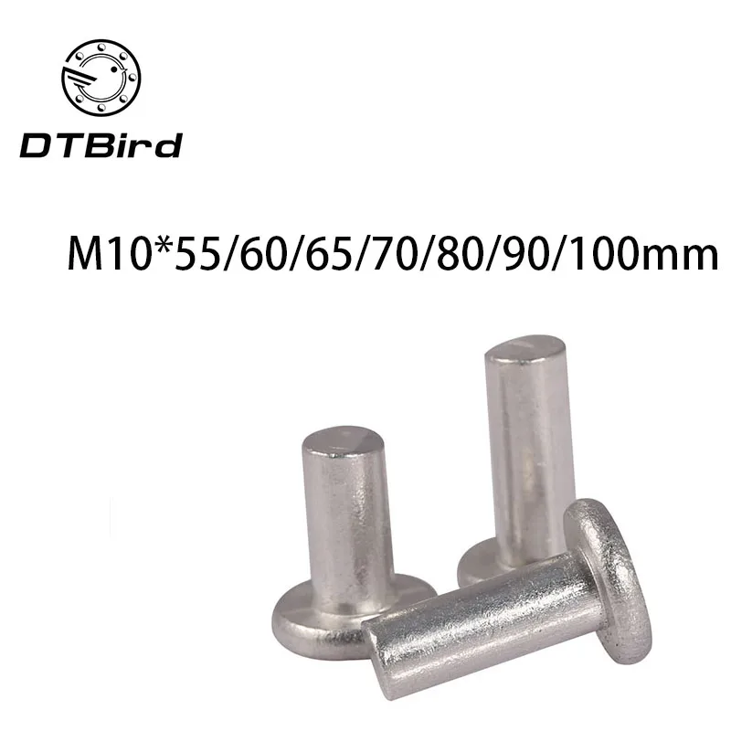 M10x55/60/65/70/80/90/100mm Length Stainless steel rivets flat head