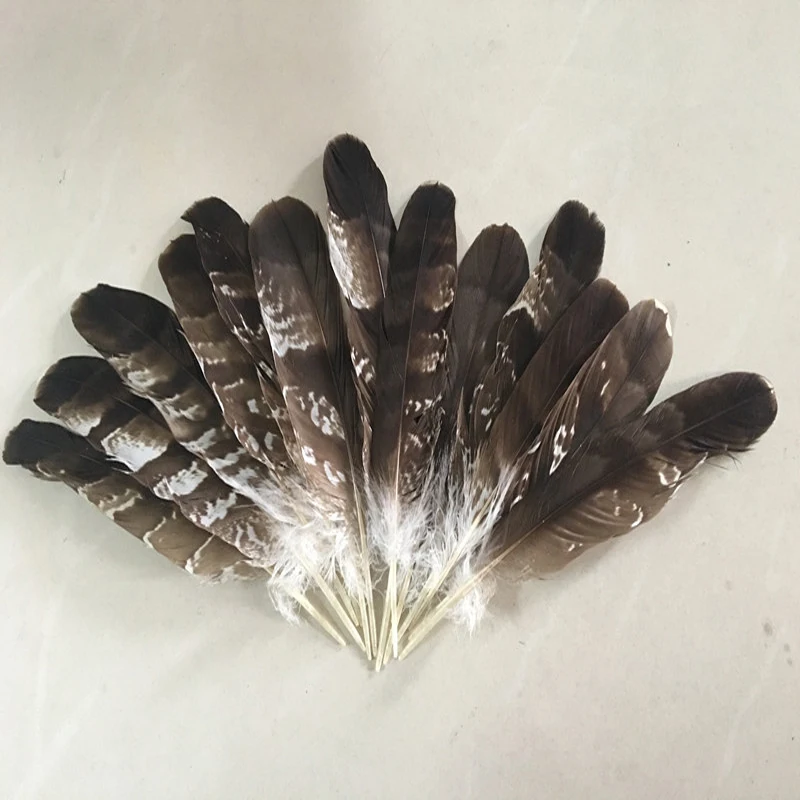 

New 13 PCS Rare and precious Beautiful patterns feathers Pattern 10-12 inch