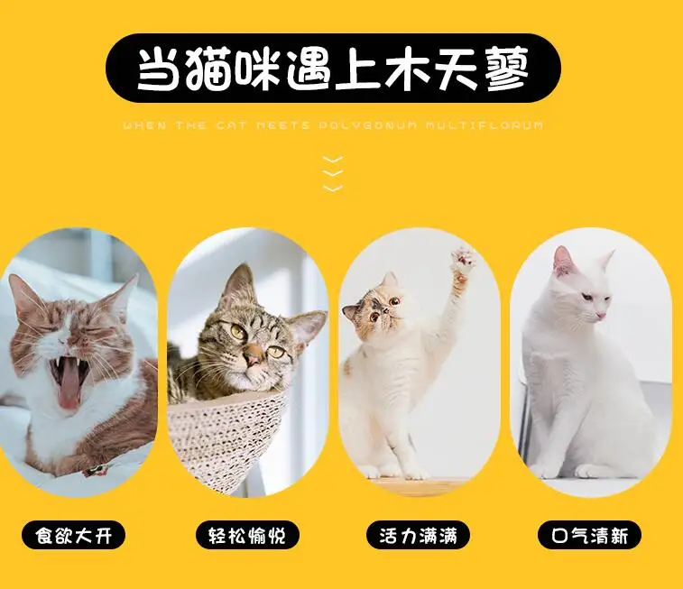 QQ20190420165126