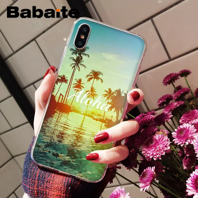 Summer beach palm
