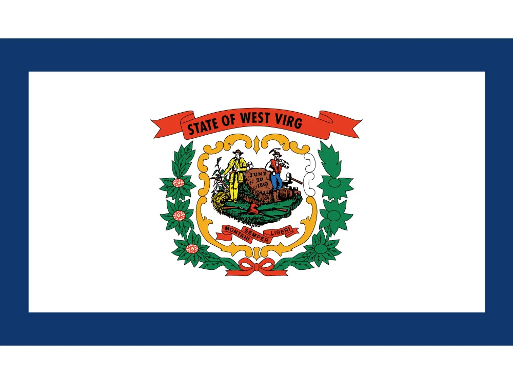 USA 3x5 Feet High-quality Custom Banners State of West Virginia Flag 60*90cm 90*150cm Flag
