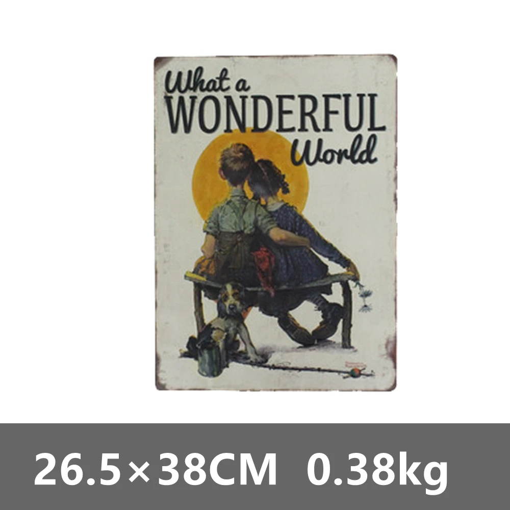[ Kelly66 ] WHAT A WONDERFUL WORLD Metal Tin Sign Retro Gift Irregular