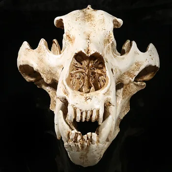 

1:1 Large Simulation Animal Polar Bear Skull Resin Crafts Specimen Medical Scary Home Decoration Skeleton Model Aquarium Decor